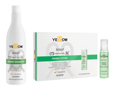 Kit Shampoo + Ampolletas Yellow Scalp Energy