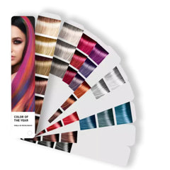 Tratamiento Intensificador de Color Plata Tec Italy 300ml