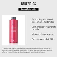 Shampoo Protector Color Addict Lendan 1000mL