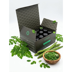 Caja De Ampolletas Lenda Oil Essences Ethernal Moringa 12x 10ml