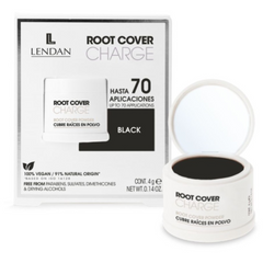 Retocador de Raiz Lendan Charge Negro 4gr